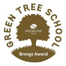 Bronze Award Green Tree School